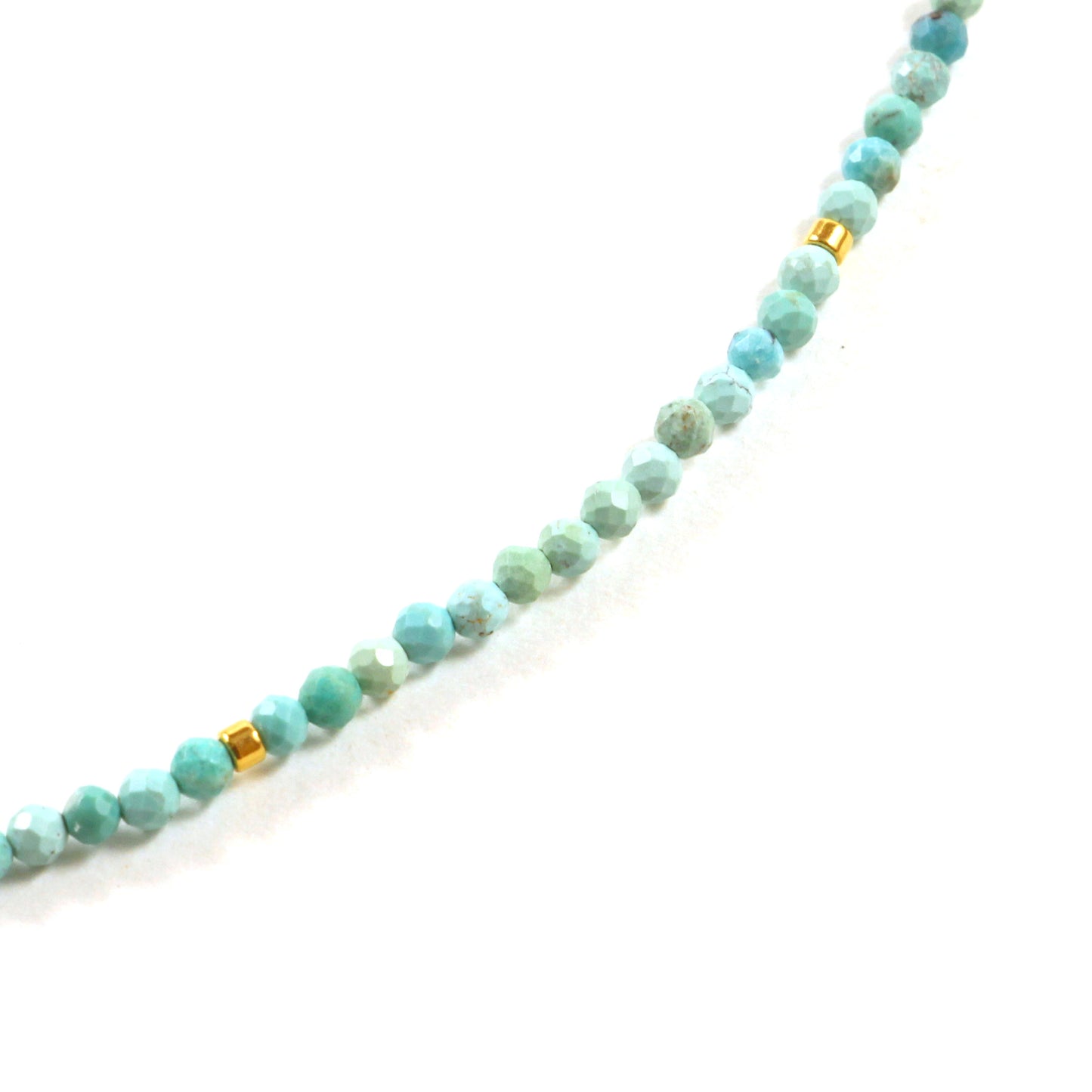 Forever and Ever Long Turquoise Necklace