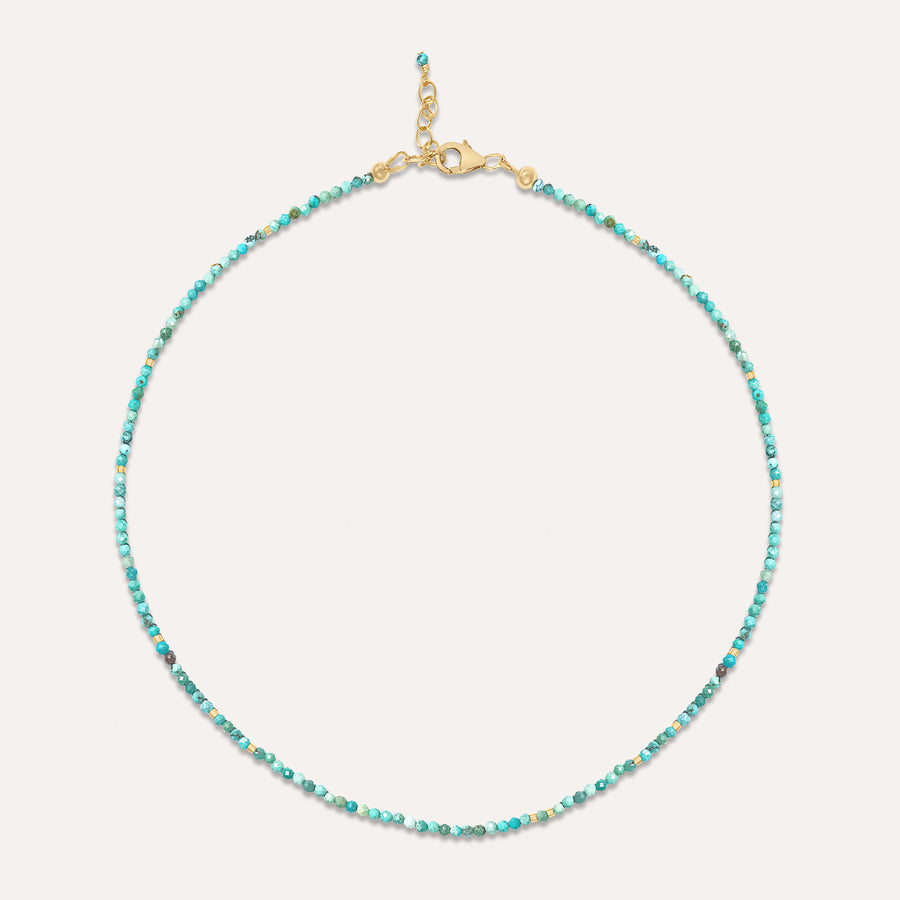 Coveted Turquoise Necklace