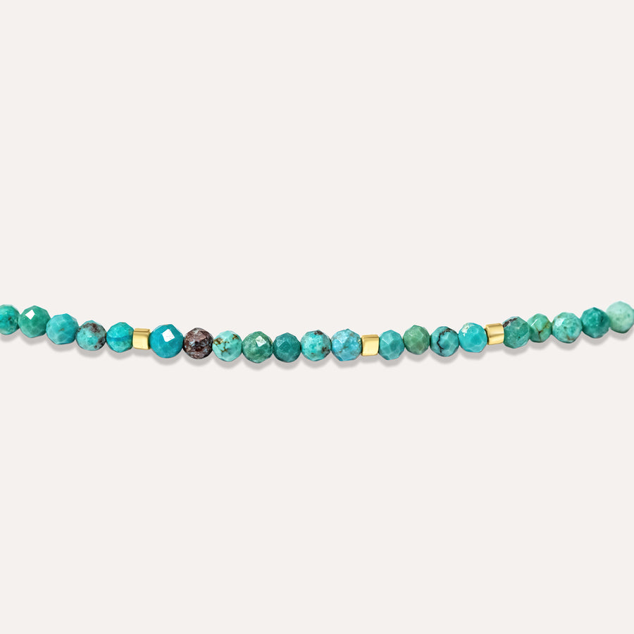Coveted Turquoise Necklace