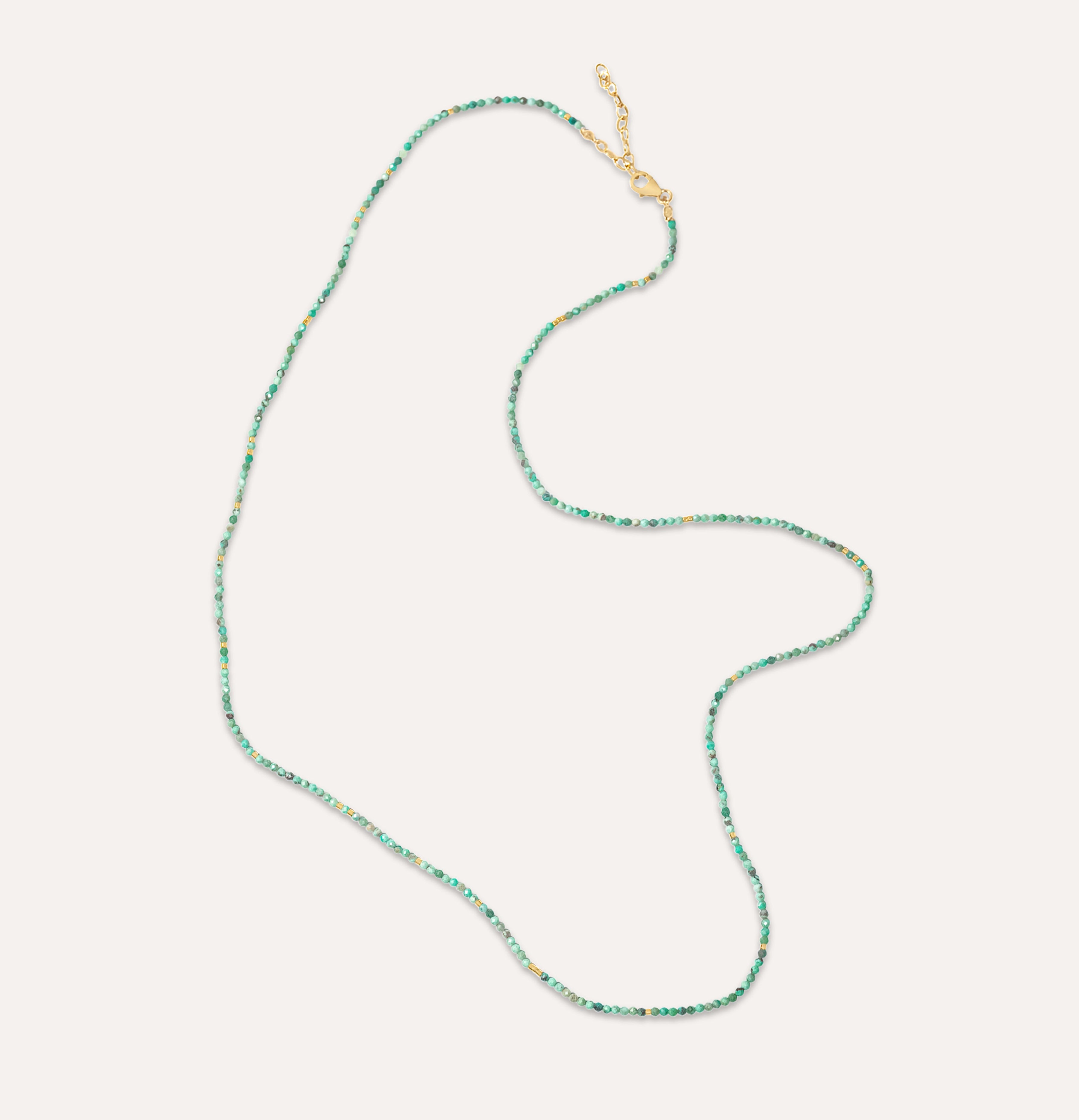 Forever and Ever Long Turquoise Necklace