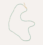 Forever and Ever Long Turquoise Necklace